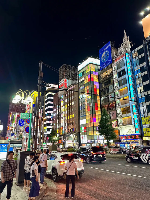Neon Alleyways: Secrets of Shinjuku Golden Gai
