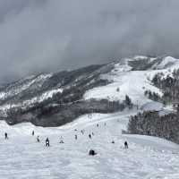【新潟/魚沼🇯🇵】冬が待ち遠しい☃❄舞子スノーリゾート