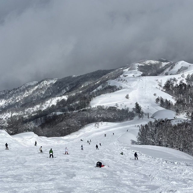 【新潟/魚沼🇯🇵】冬が待ち遠しい☃❄舞子スノーリゾート