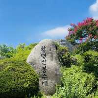 Hwangnyeongsan Mountain Beacon Mound, Busan: The Pinnacle of City Night Views