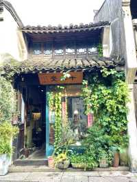 Jiaxing Day Trip Itinerary – Easy Escape from Shanghai! 🇨🇳✨