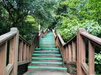 The Quick & Rewarding Hike for Panoramic Views