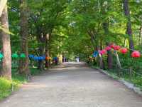 부안 당일치기 여행지로 딱인 내소사 🌳