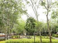 ท้ายเหมืองแคมป์ปิ้ง 