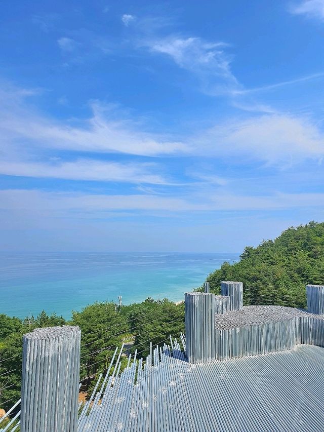 미술관에서 바다구경도 하고~ 전시관람도 하고~🌊