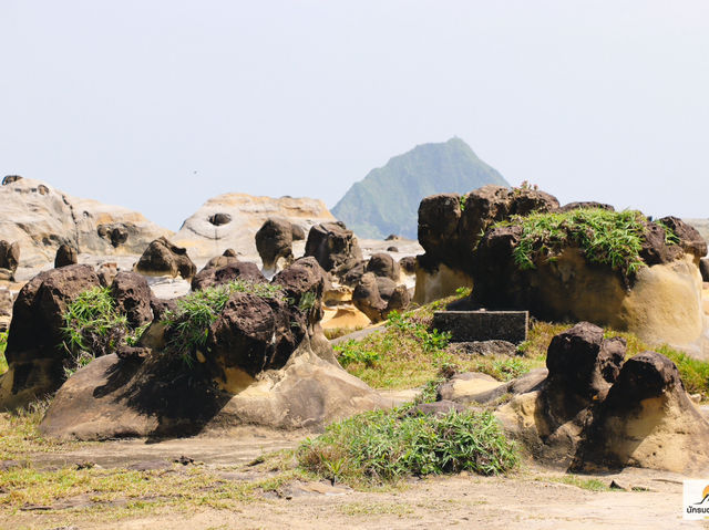 Heping Island Park