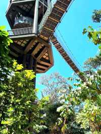 KL Eco Forest Park & Canopy Walk: A Green Escape in the City