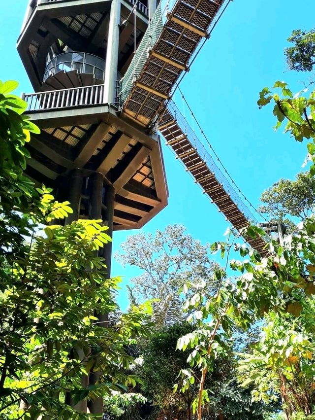 KL Eco Forest Park & Canopy Walk: A Green Escape in the City