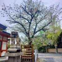 ขอพรความรักที่ Tamutsukuri Inari-jinja Shrine