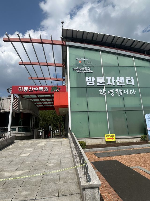 🌿 사계절 숲속 산책, 청주의 힐링 명소 – 미동산수목원