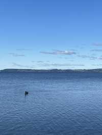 💙🦢 New Zealand’s Lake Days – Where the Sky Meets the Water