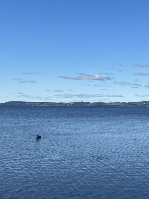 💙🦢 New Zealand’s Lake Days – Where the Sky Meets the Water