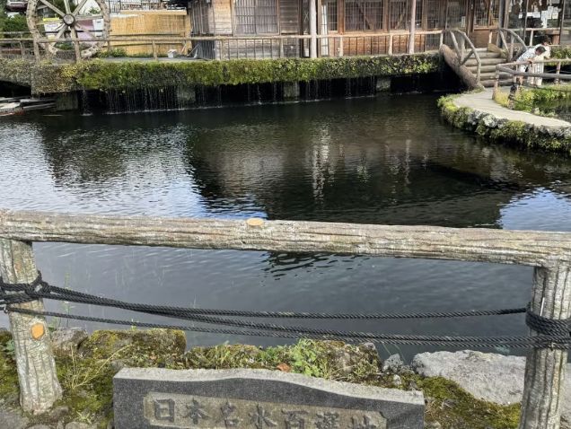 Mount Fuji & Surroundings: A Scenic Tour from Kawaguchiko to Oshino Hakkai! 🗻💧