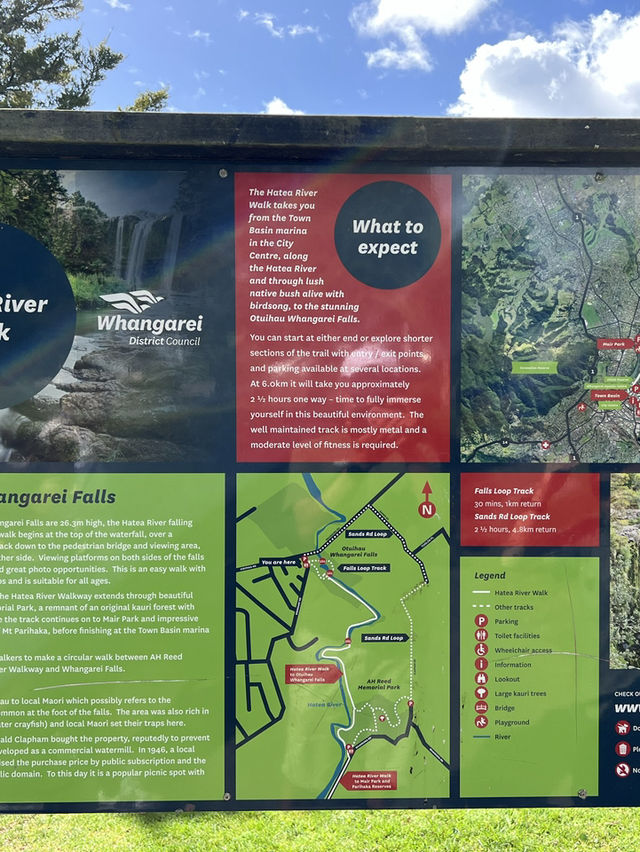 紐西蘭旅遊景點—💦 Whangārei Falls｜北島最優雅的瀑布散步路線