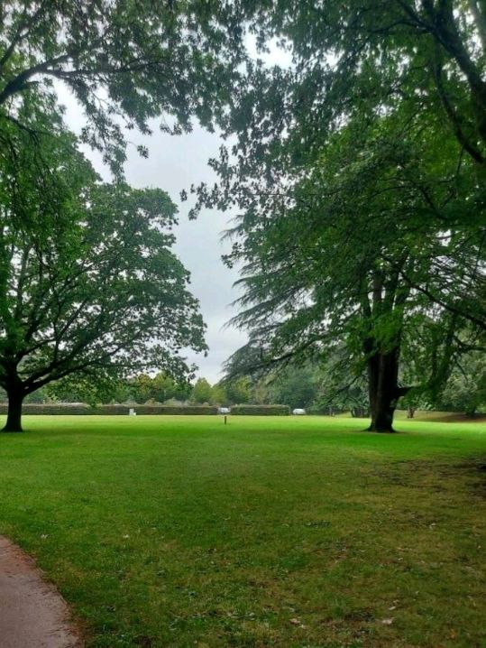Sophia Gardens