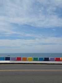 🌈 제주도 필수코스