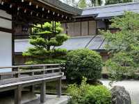 Saiho-ji (Koke-dera) in the Sunshine: A Refreshing Experience! ☀️🌿