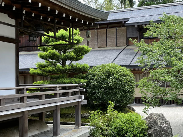 Saiho-ji (Koke-dera) in the Sunshine: A Refreshing Experience! ☀️🌿