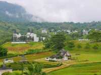 เขาค้อช่วงกรีนซีซั่นดีต่อใจ