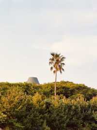 A Family-Friendly Local Park for Casual Outings