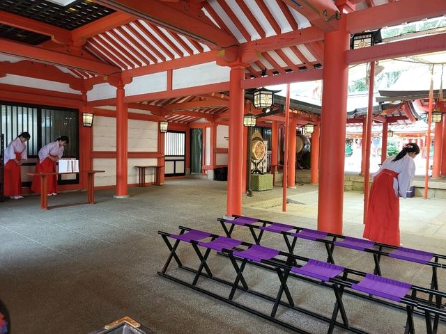 神戶鬧區內的櫻花秘境/生田神社