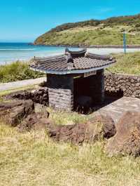 Scenic Views and Photo Opportunities from a Green Vantage Point