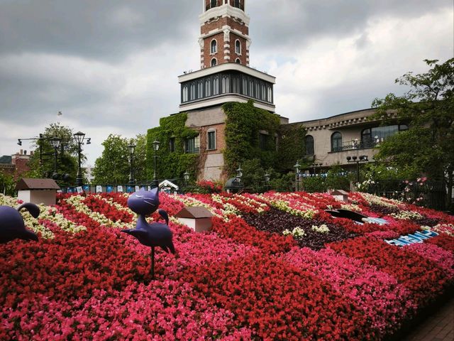 Hokkaido Road Trip