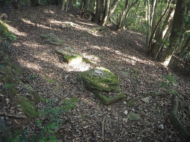 【枯松神社】外海のキリシタン神社、出津教会堂や旧出津救助院【潜伏キリシタンの里】
