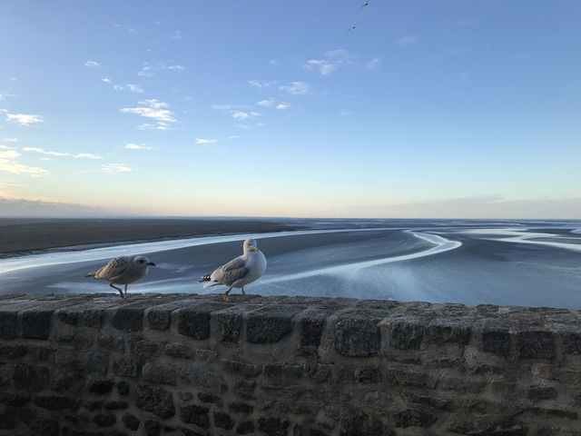 モン・サン・ミシェル巡礼の旅へ！🏰