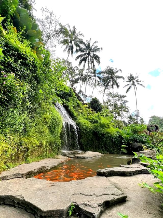 Discover the Charms of Alas Harum Bali