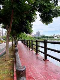 🌿祥鷺生態埤塘公園｜桃園市區裡的小森林，輕鬆散步賞水鳥的靜謐角落 🐦🌾