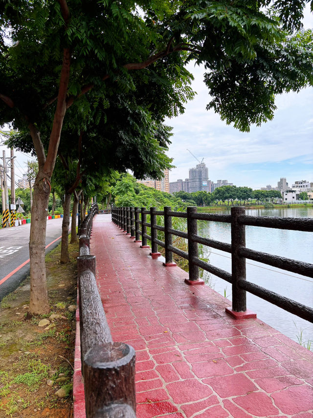 🌿祥鷺生態埤塘公園｜桃園市區裡的小森林，輕鬆散步賞水鳥的靜謐角落 🐦🌾