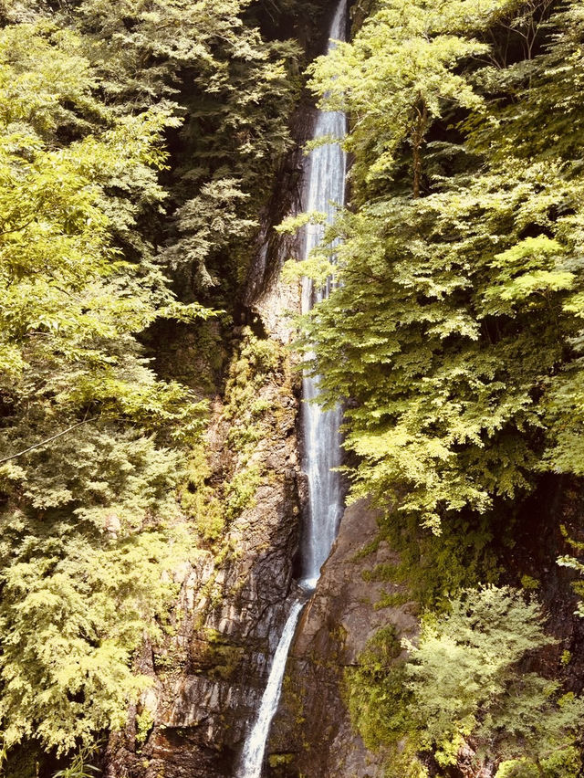 🌿 Solo Adventure: Shasui Falls – Tokyo’s Secret Waterfall Escape