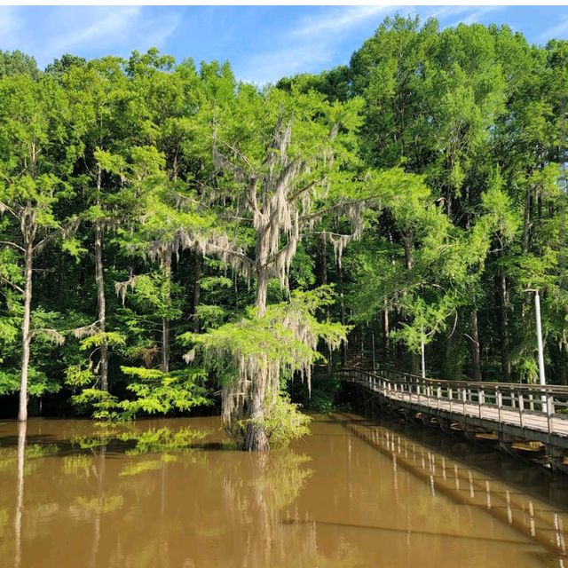 Caddo Lake State Park – East Texas
