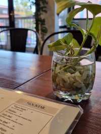 Solusi: A Taste Revolution in Every Cup