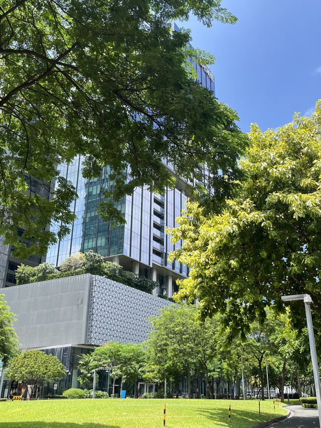 🎨 BGC, Manila — Where Art Meets Future