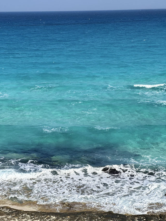 Filter Blue Betrayal: Ageeba’s Lie-Lit Water