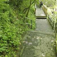 Sliding Rock – Pisgah National Forest
