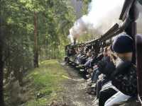 Puffing Billy Railway: A Centenary Steam Train Experience in Melbourne! 🚂🌳