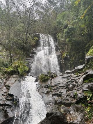Forest Hike + Waterfall at Pedra da Ferida