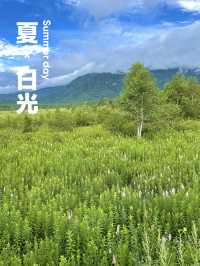 【日光】  真夏でも比較的爽快なハイキングを楽しめる・・