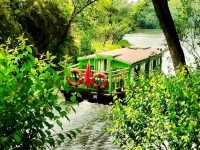 Xixi Wetland- Hailed As the "Kidney of Hangzhou"