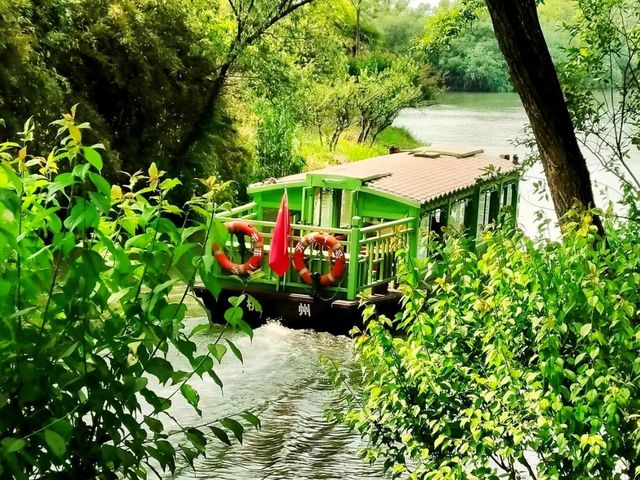Xixi Wetland- Hailed As the "Kidney of Hangzhou"