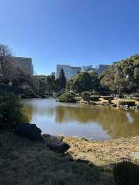 Tokyo 2025 Itinerary