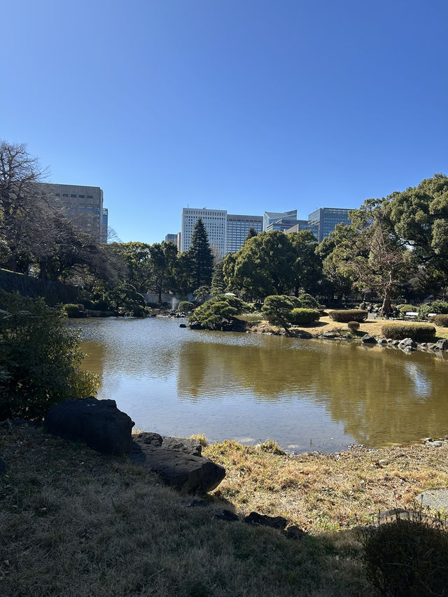 Tokyo 2025 Itinerary