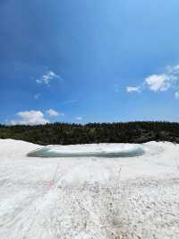🐉雪解けの奇跡、龍が目を覚ます瞬間を見に行こう。