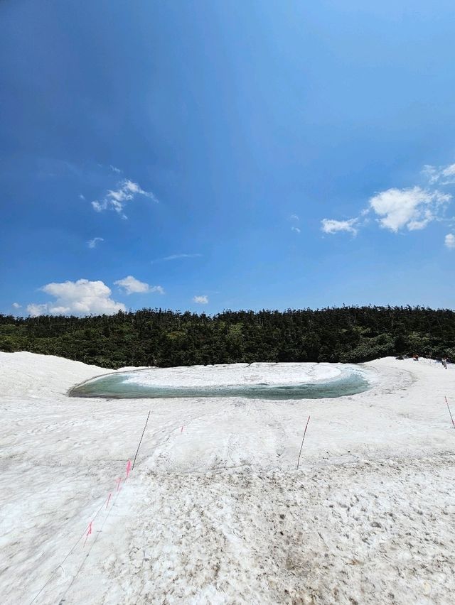 🐉雪解けの奇跡、龍が目を覚ます瞬間を見に行こう。