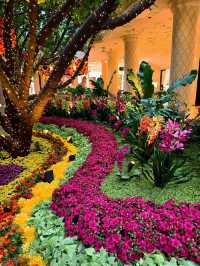 Bloom and Bling: Garden Vibes at Wynn Las Vegas 🌸✨