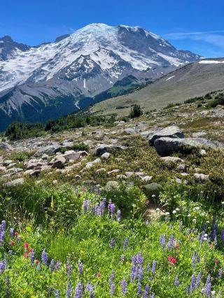 🏔️ Sunrise Rim & Burroughs Mountain – Mt. Rainier’s Summer Classic