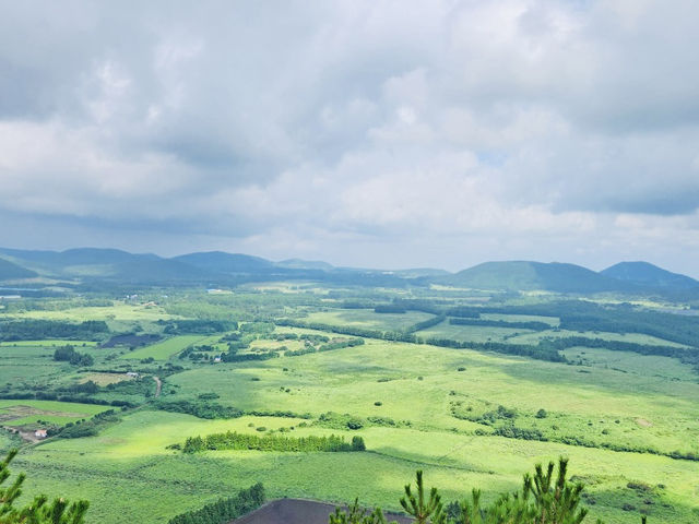 Observing Jeju's Unique Ecosystem and Flora